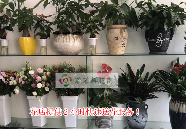 温州瑞安花店提供温州瑞安2小时快速送花服务